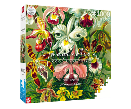 Puzzle z gier Merch Imagination Puzzle: Ernst Haeckel Orchidea / Orchid 1000 ele